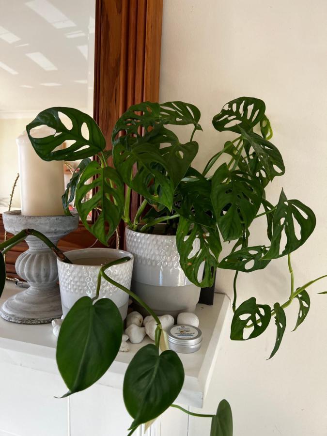 Flavian House Bed and Breakfast Chichester Exteriör bild